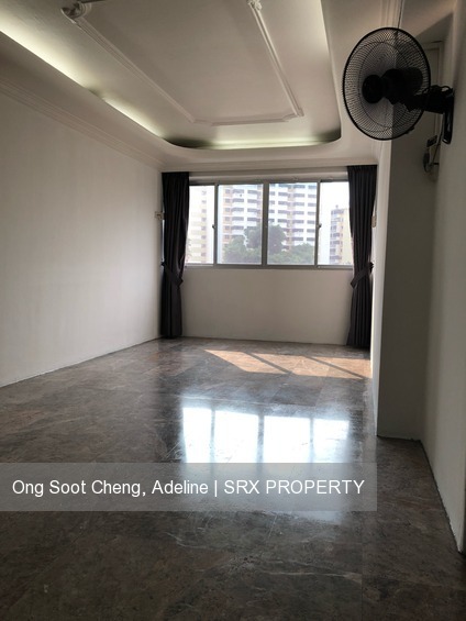 Blk 53 Chin Swee Road (Central Area), HDB 4 Rooms #199967972